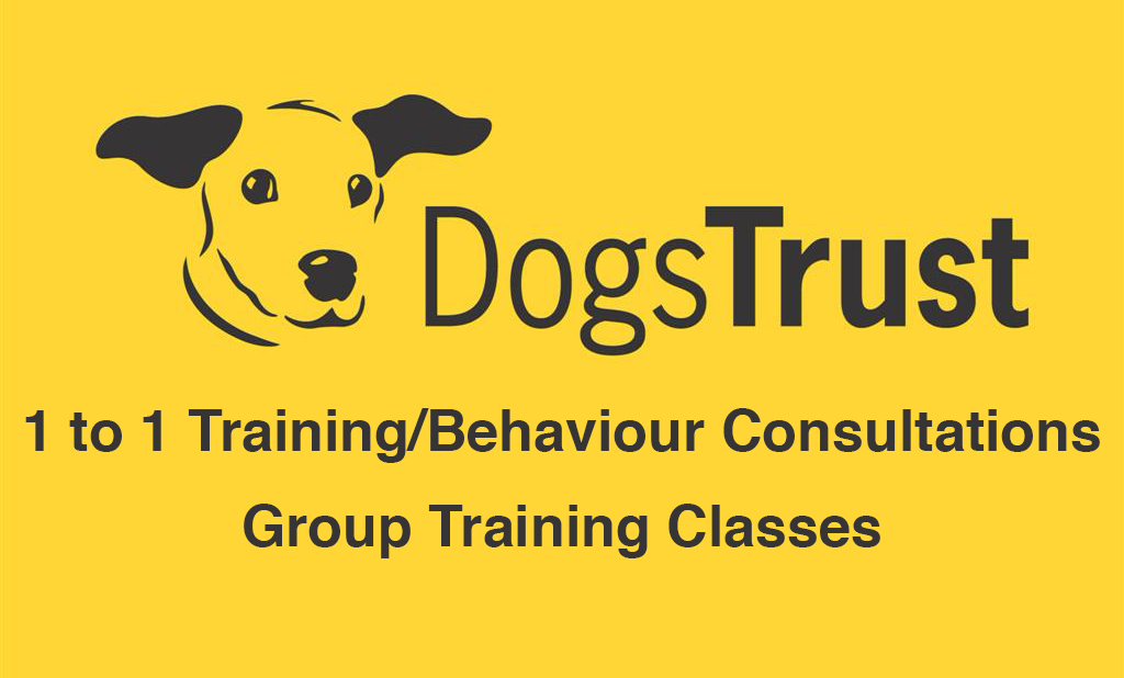 Dogs Trust Training Image